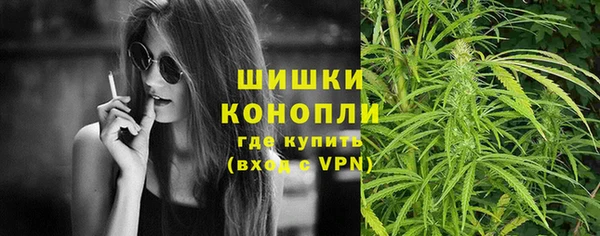 дмт Арсеньев